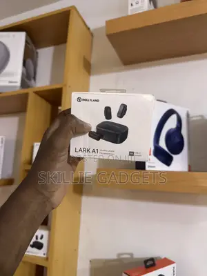 Microphone