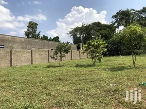 Kira Amazing Plot Near the Main Road on Sell