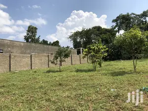 Kira Amazing Plot Near the Main Road on Sell