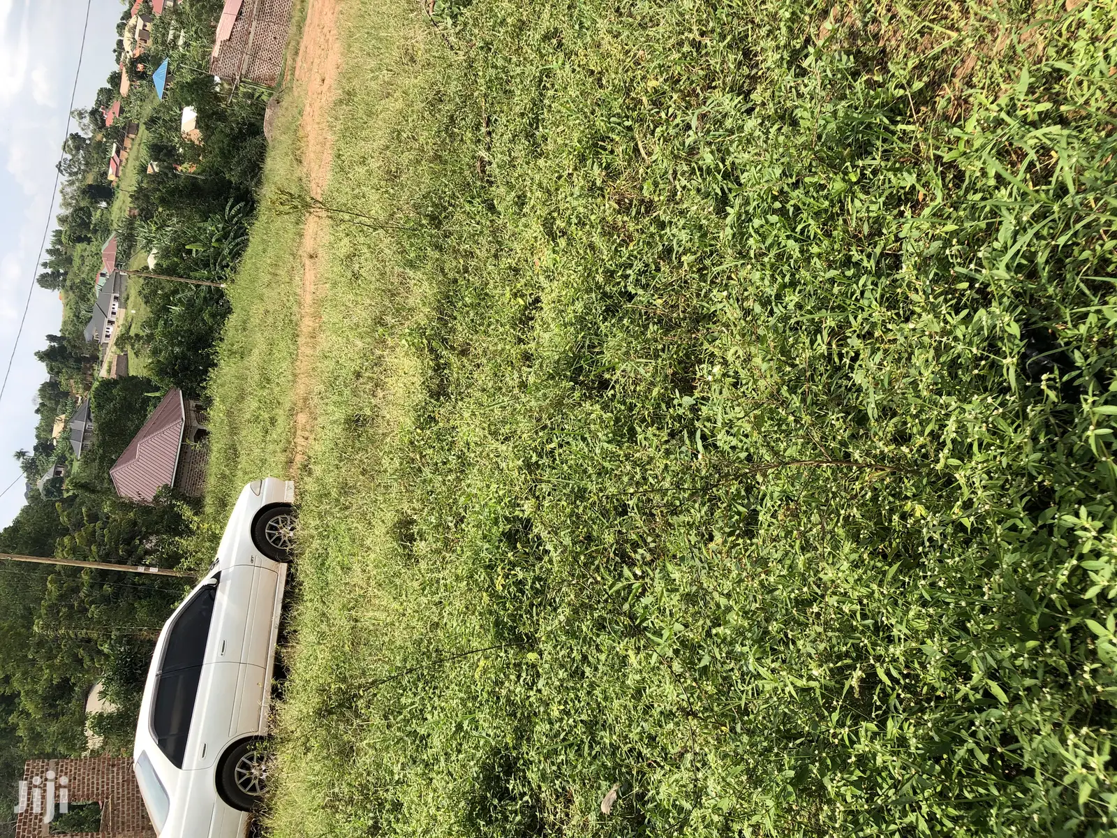 Kira Amazing Plot Near the Main Road on Sell