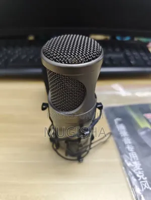 Takstar Sm-7b Recording Microphone