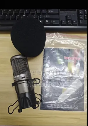 Takstar Sm-7b Recording Microphone