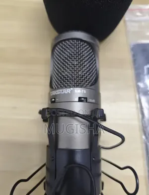 Takstar Sm-7b Recording Microphone