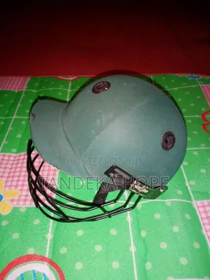 Cricket Helmet