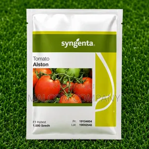 Syngenta Alston F1 Hybrid Tomato Seeds – 1,000 Seeds | Uganda