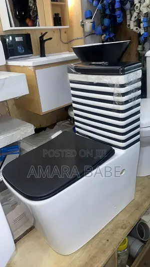 Luxury Complete Toilet
