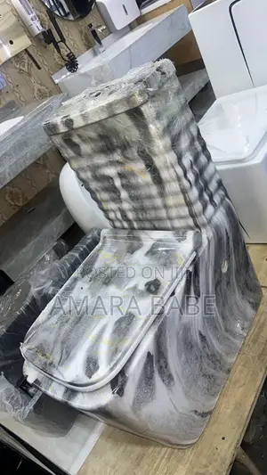 Luxury Complete Toilet