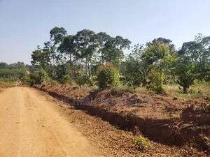 2acres for Sell Buwambo Lugo at 250m