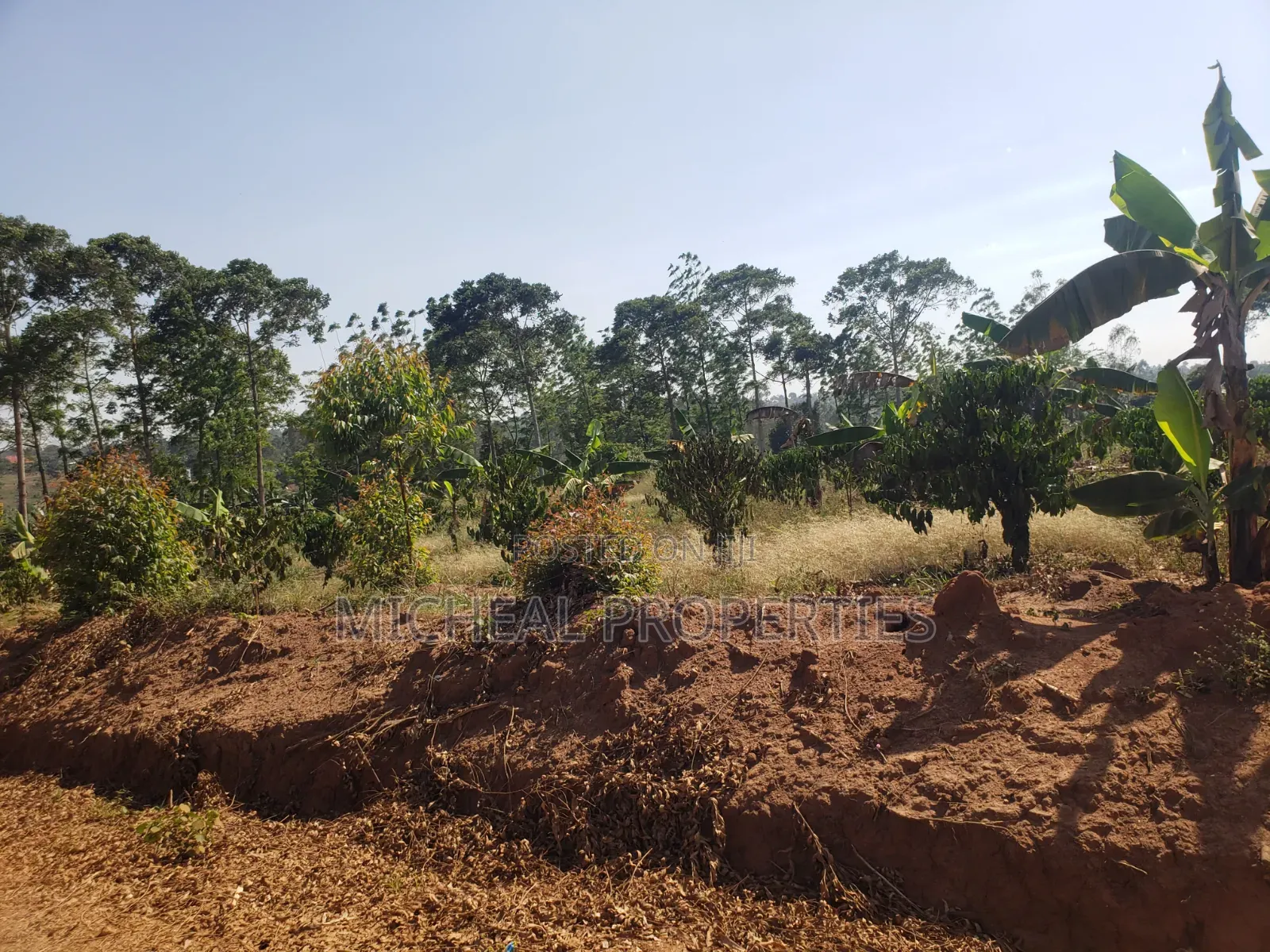 2acres for Sell Buwambo Lugo at 250m