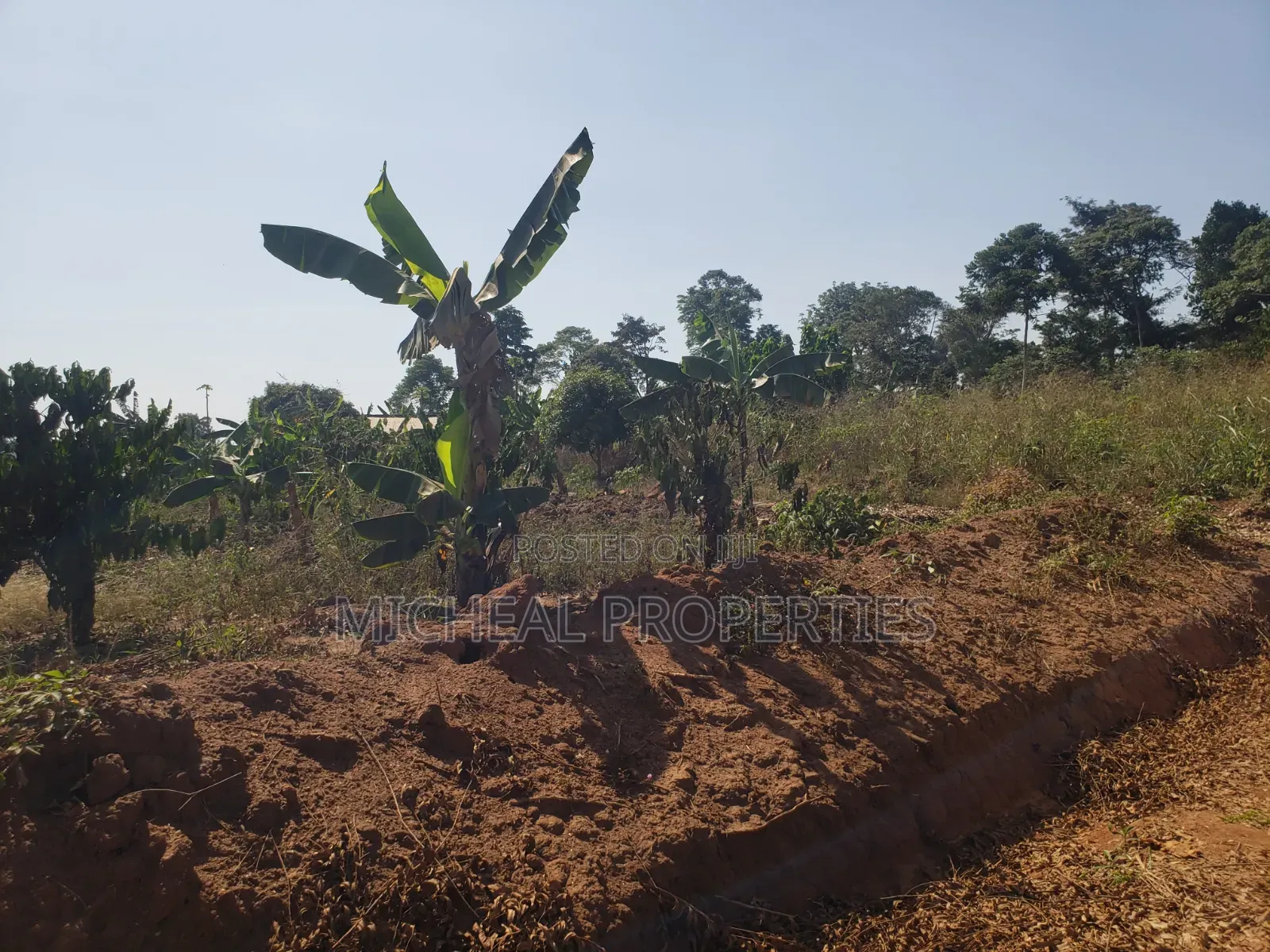 2acres for Sell Buwambo Lugo at 250m