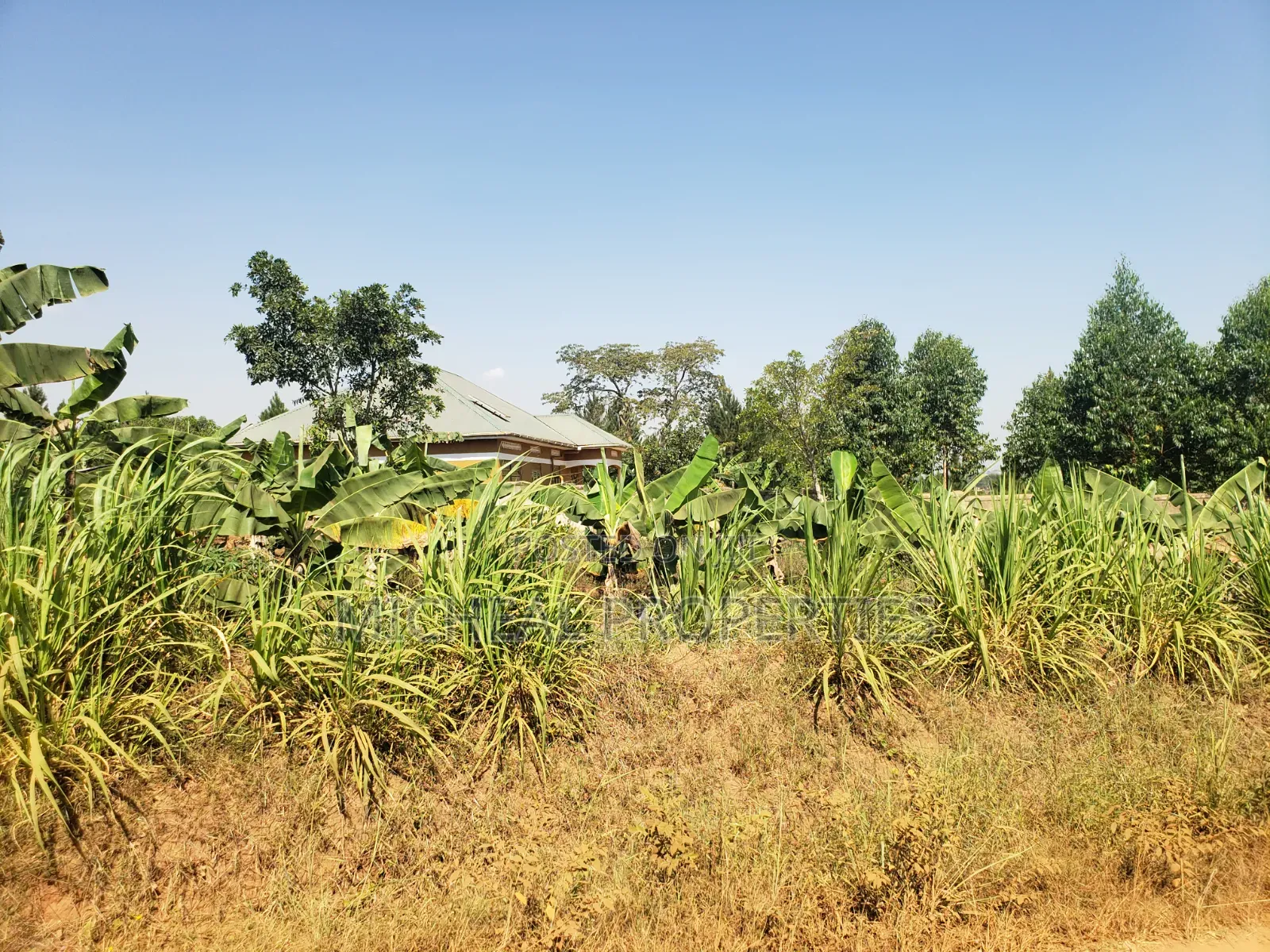 2acres for Sell Buwambo Lugo at 250m