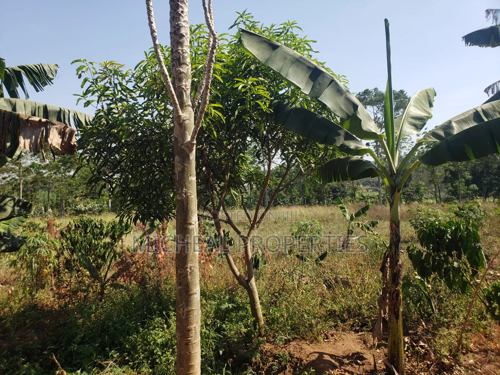 2acres for Sell Buwambo Lugo at 250m