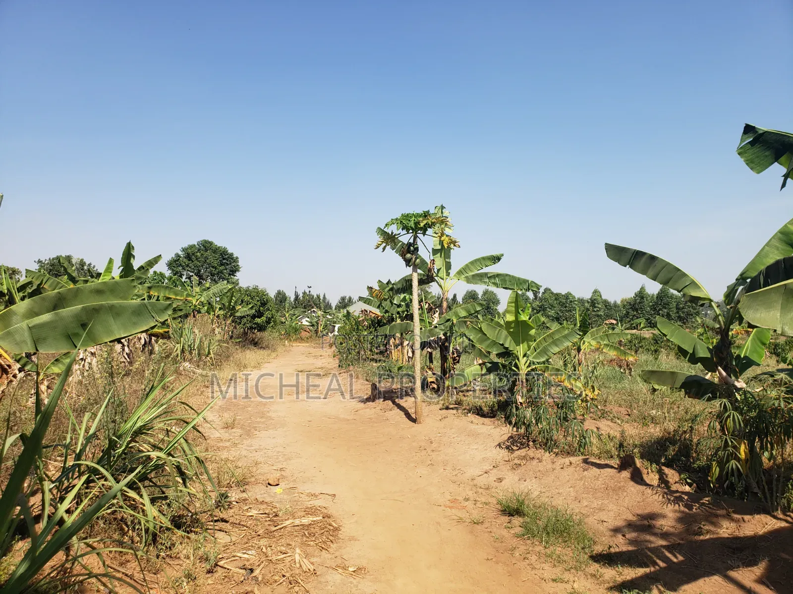 2acres for Sell Buwambo Lugo at 250m