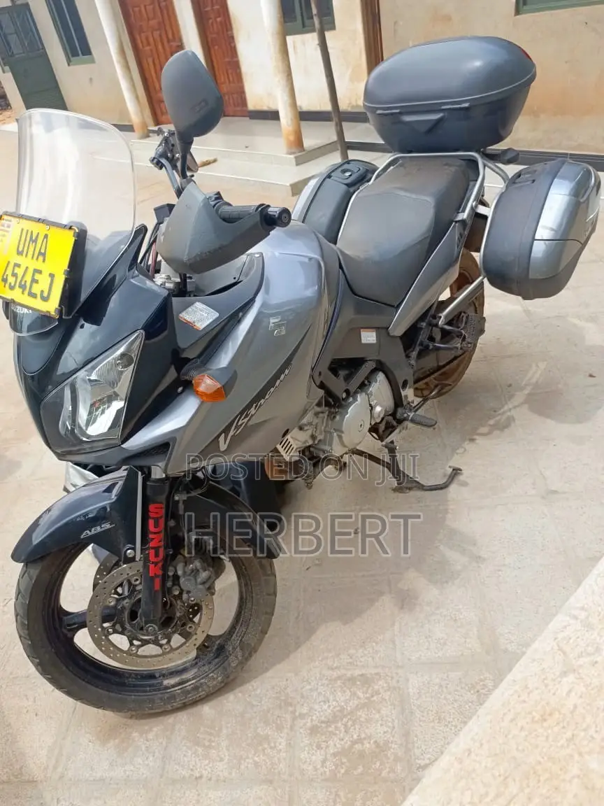 Suzuki V-Strom 2010 Gray
