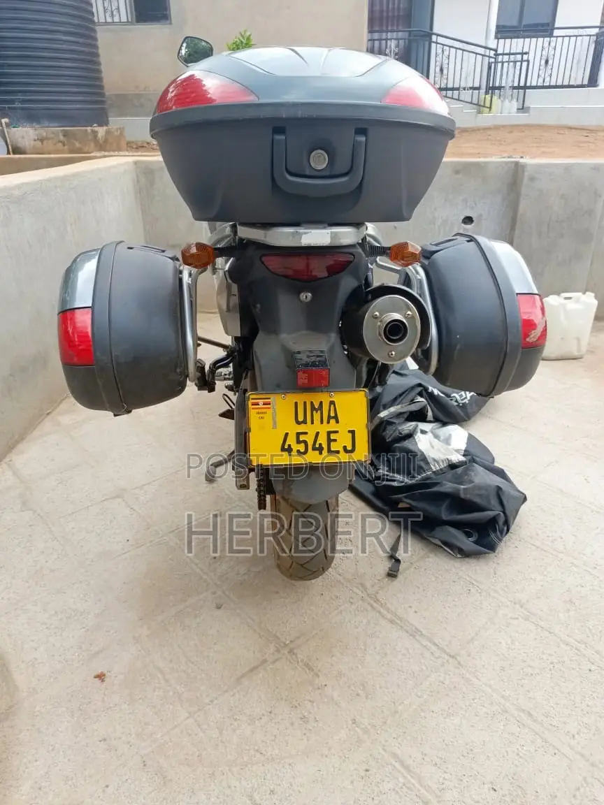 Suzuki V-Strom 2010 Gray