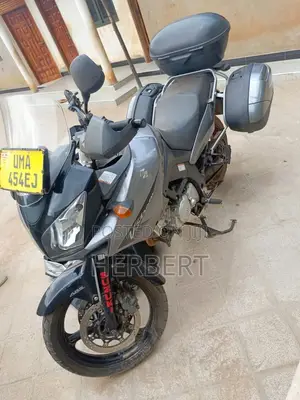 Suzuki V-Strom 2010 Gray