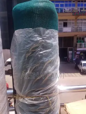 Green Shade Net