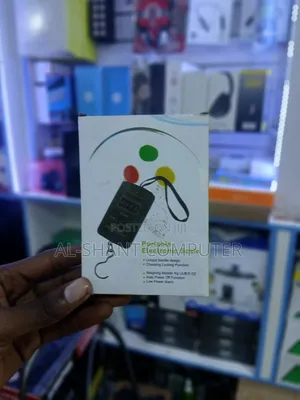 Portable Electronic Weighing Scale