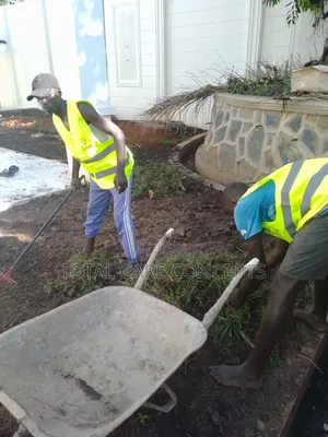Elegant Gardening Services and Concepts for Your Compound