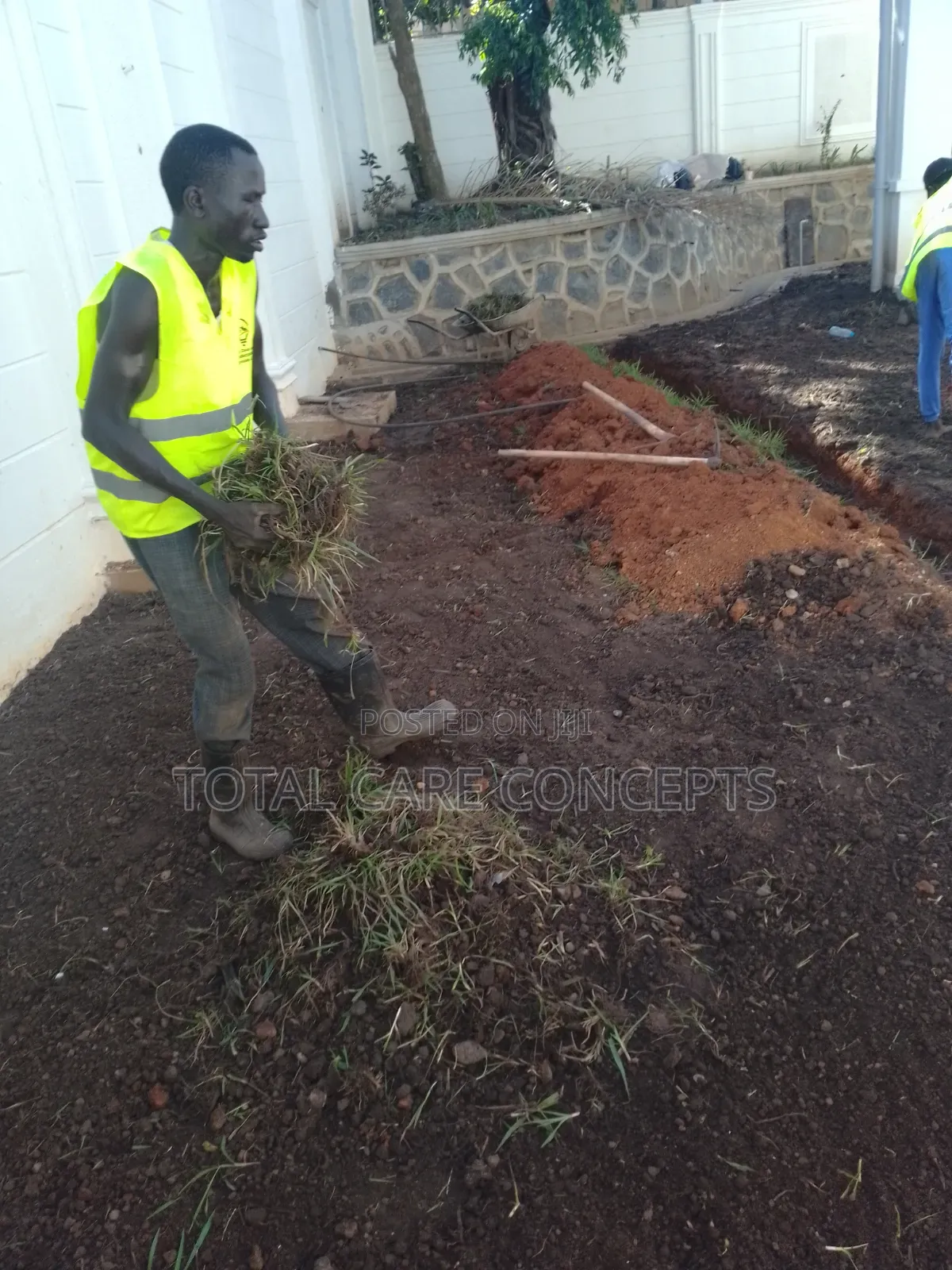 Elegant Gardening Services and Concepts for Your Compound