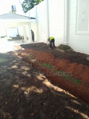 Elegant Gardening Services and Concepts for Your Compound