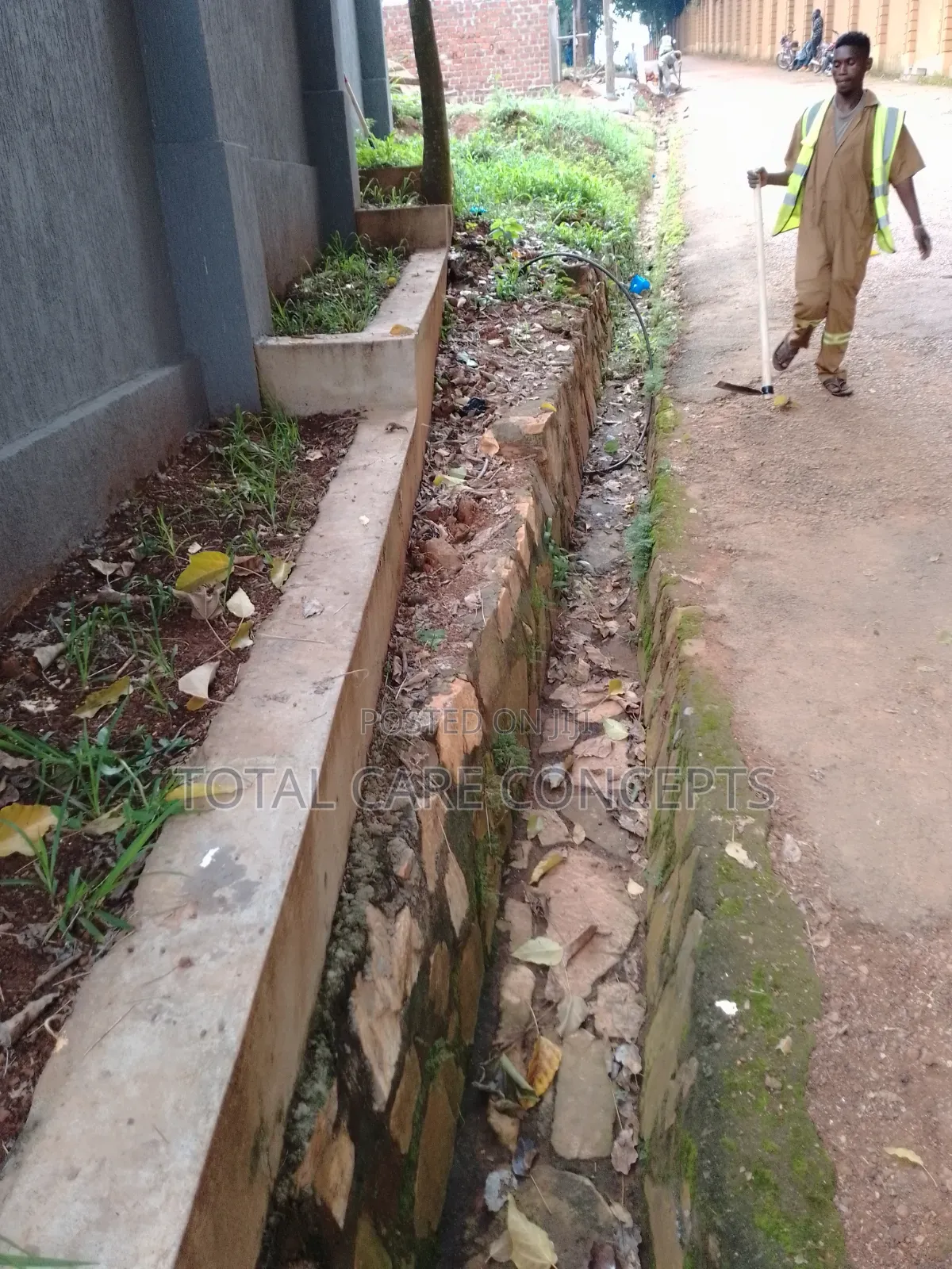 Elegant Gardening Services and Concepts for Your Compound