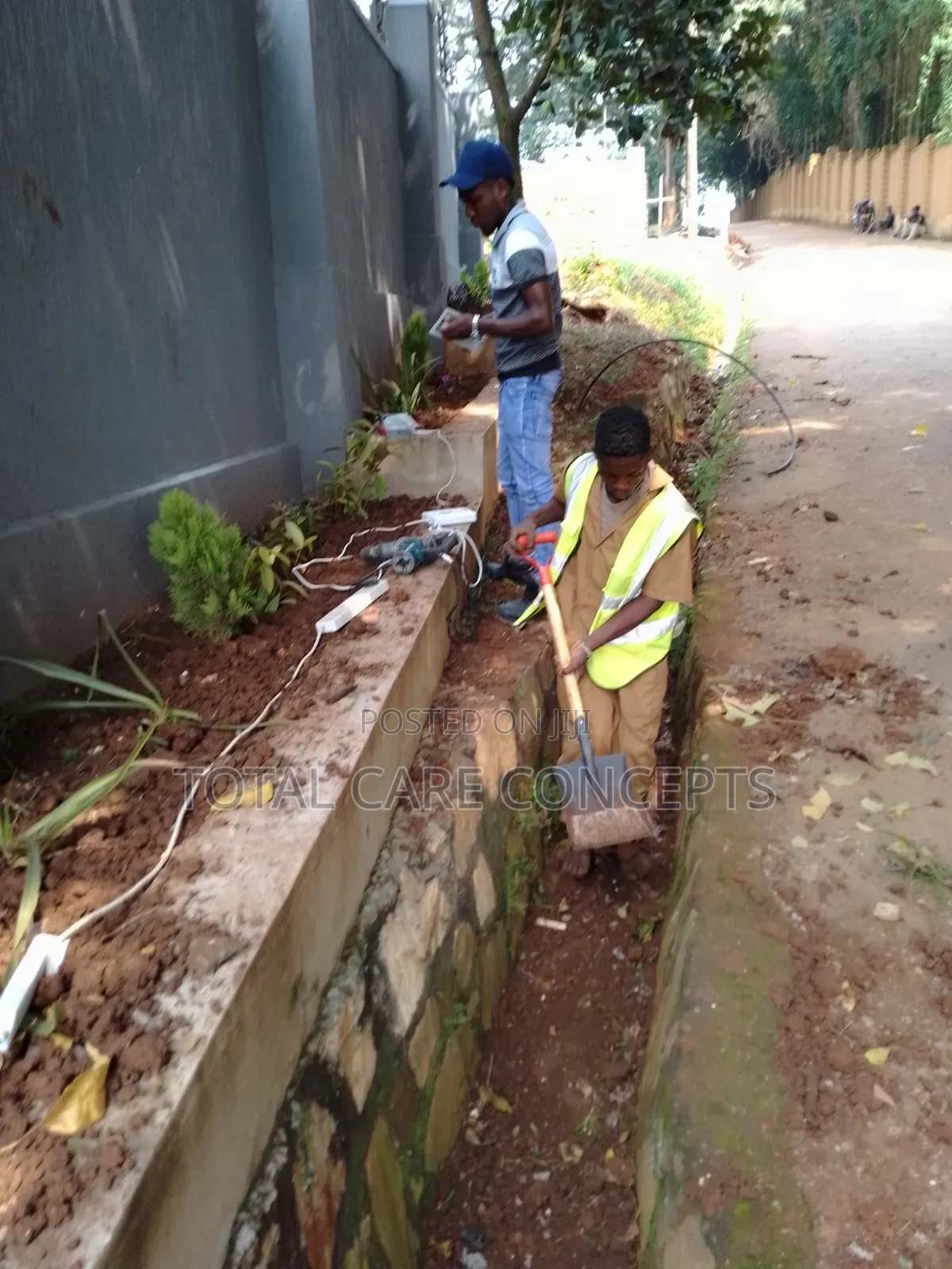 Elegant Gardening Services and Concepts for Your Compound