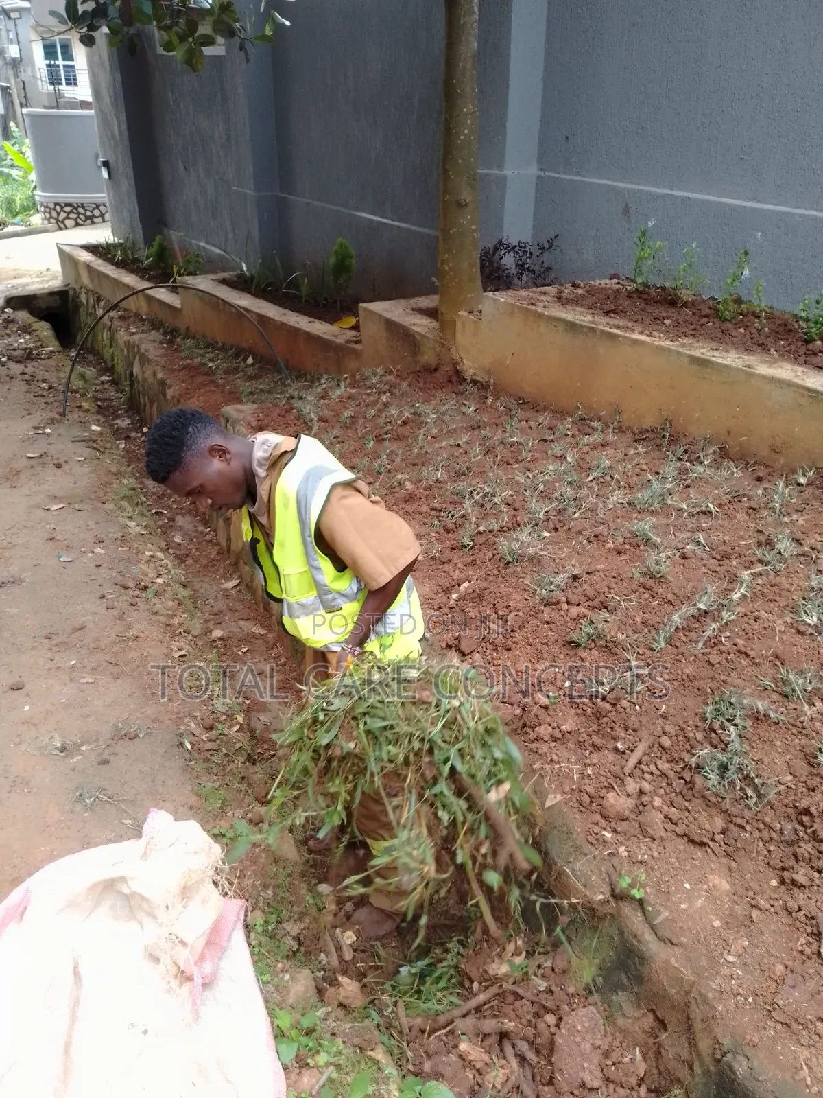 Elegant Gardening Services and Concepts for Your Compound