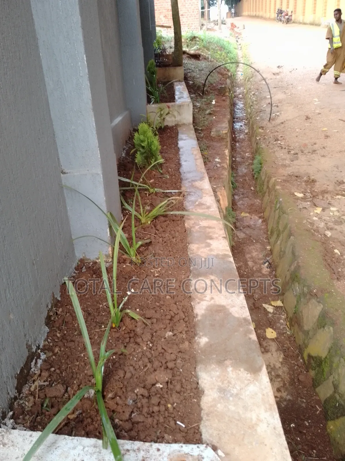 Elegant Gardening Services and Concepts for Your Compound