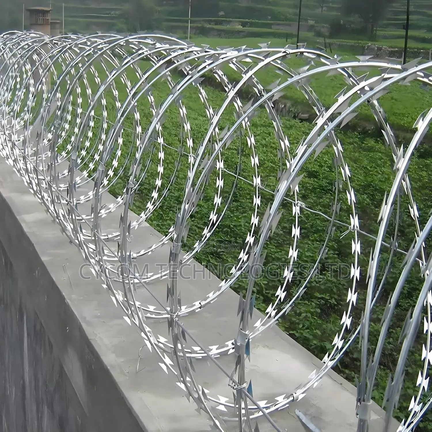 Razor Wire
