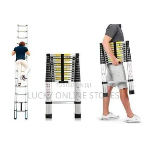 Aluminum Telescopic Extension Ladder