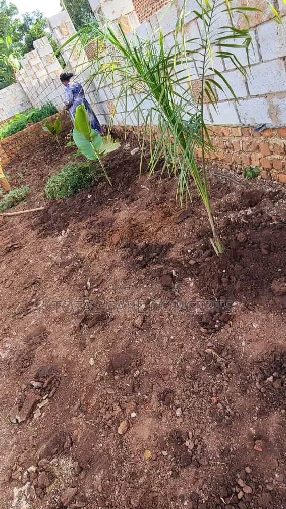 Gardening Specialists for Modern Compound