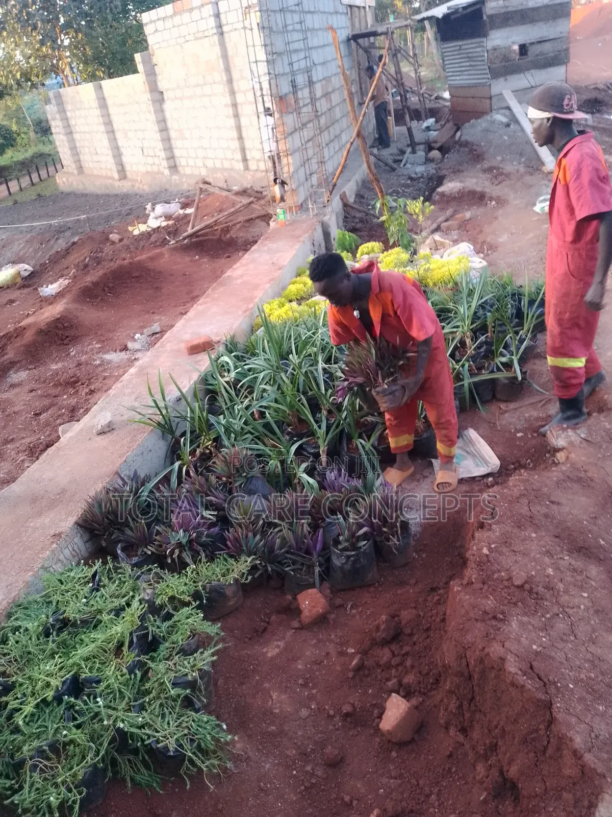Gardening Specialists for Modern Compound