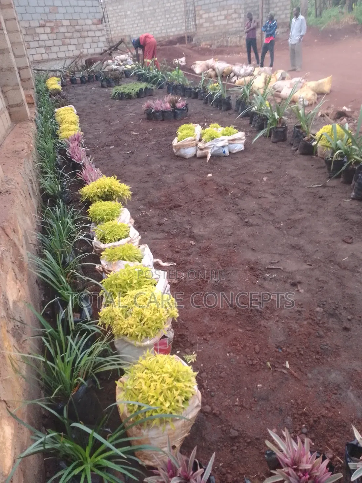 Gardening Specialists for Modern Compound