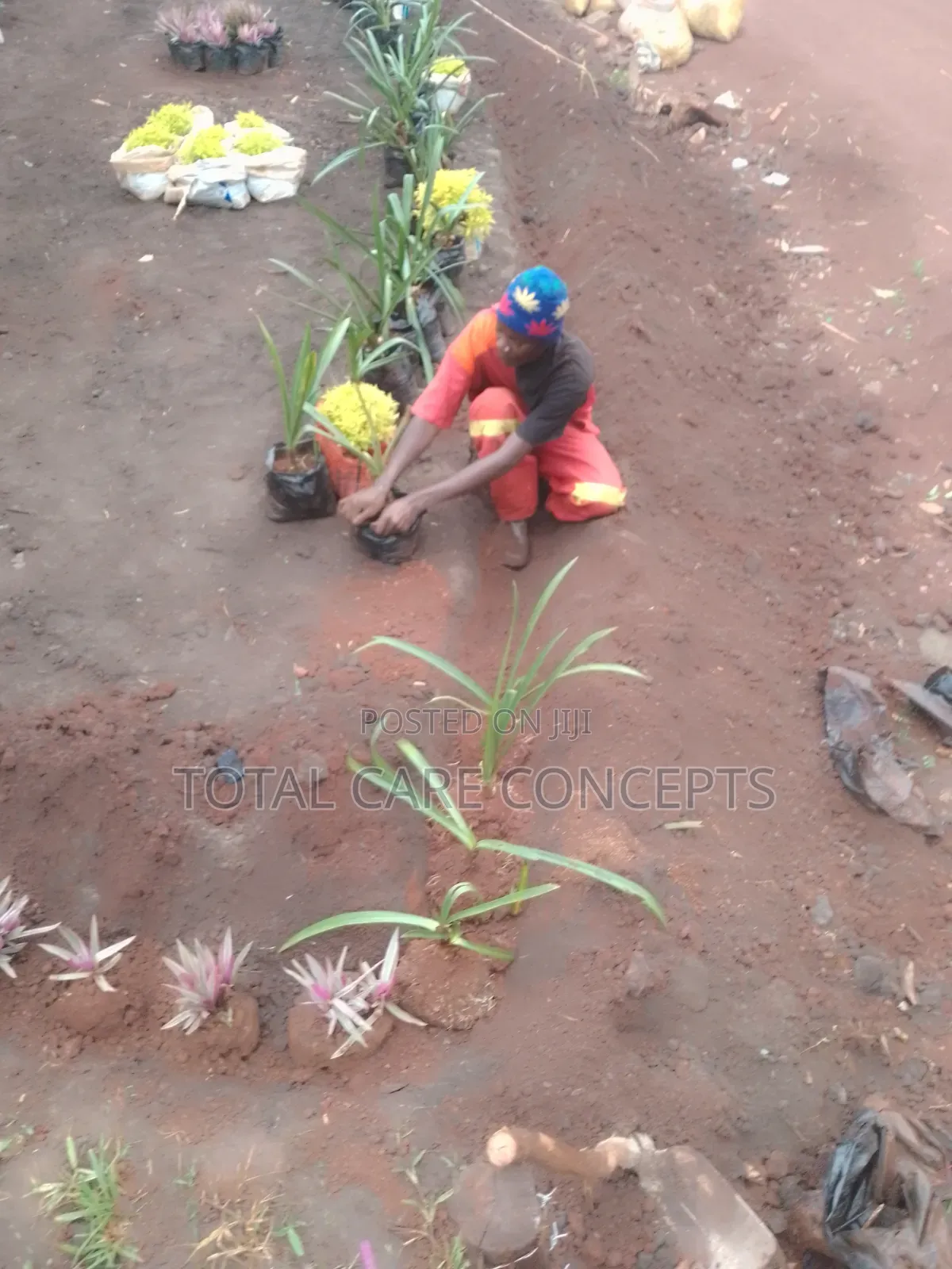 Gardening Specialists for Modern Compound