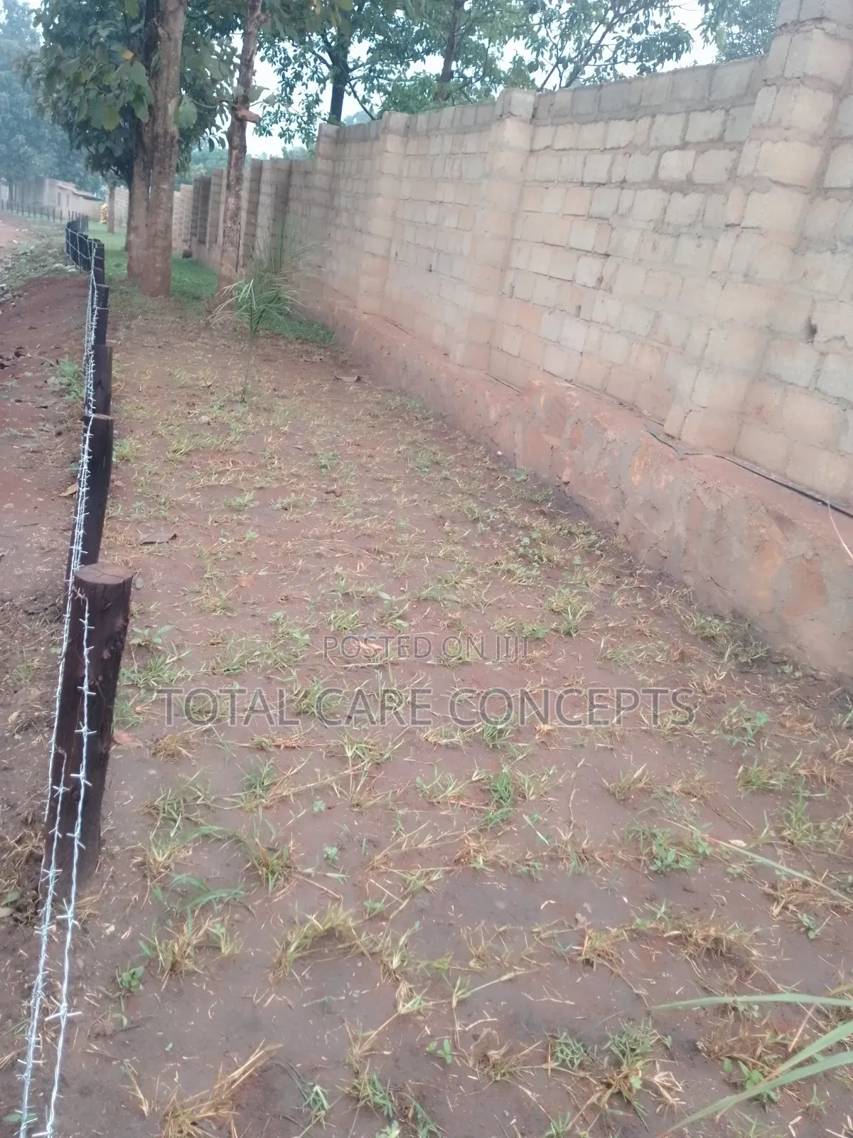 Gardening Specialists for Modern Compound