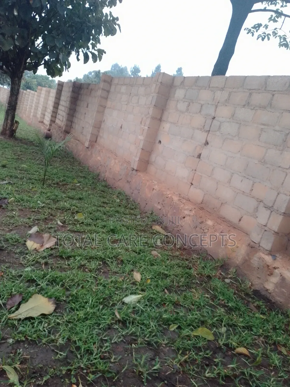 Gardening Specialists for Modern Compound