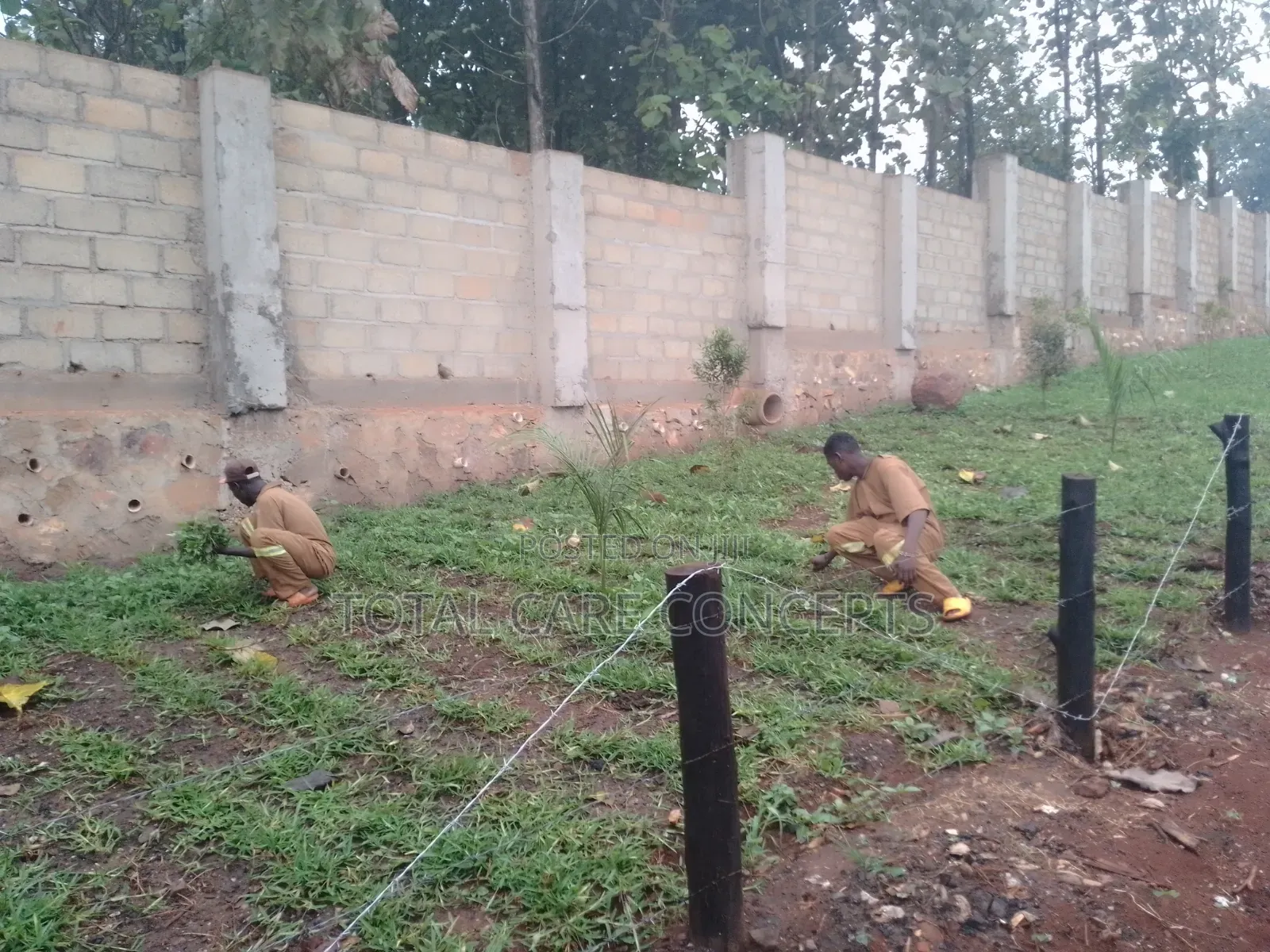 Gardening Specialists for Modern Compound