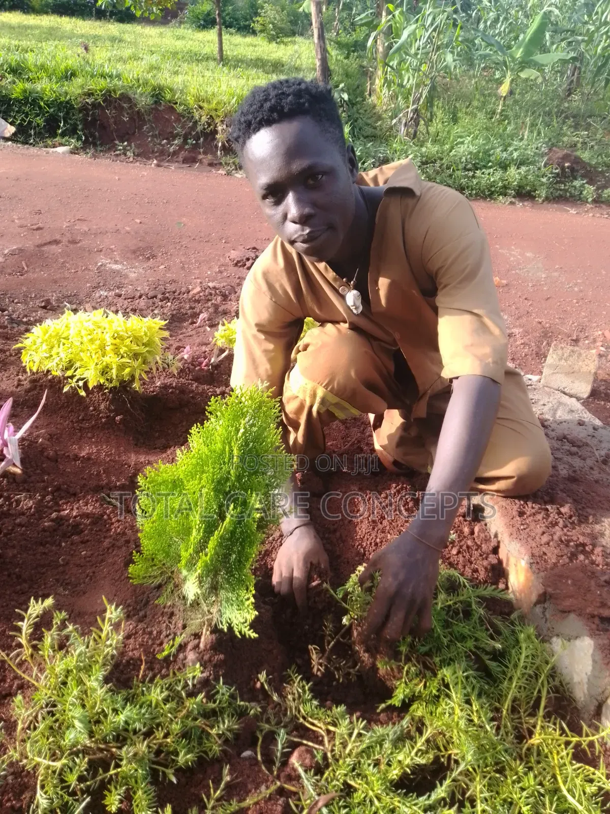 Gardening Specialists for Modern Compound