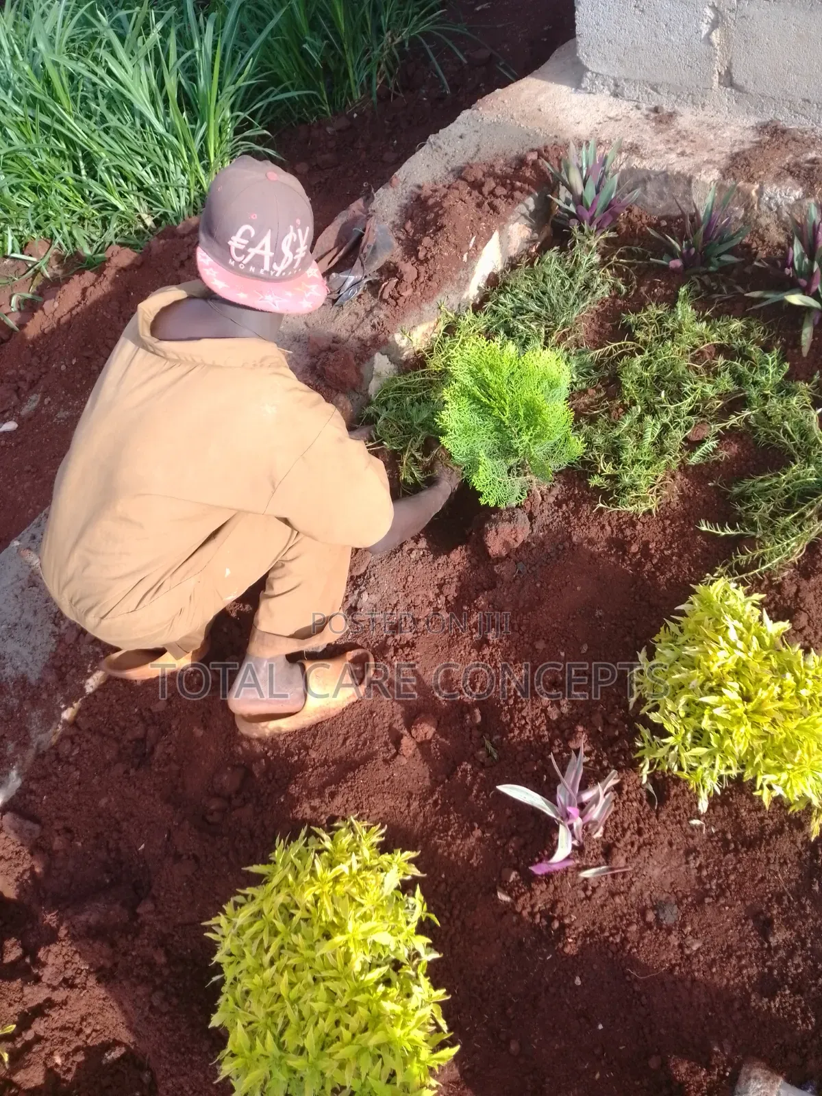 Gardening Specialists for Modern Compound