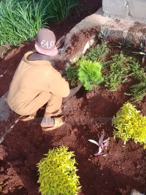 Gardening Specialists for Modern Compound