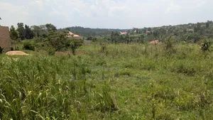Plot for Sale