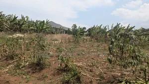 Plot for Sale