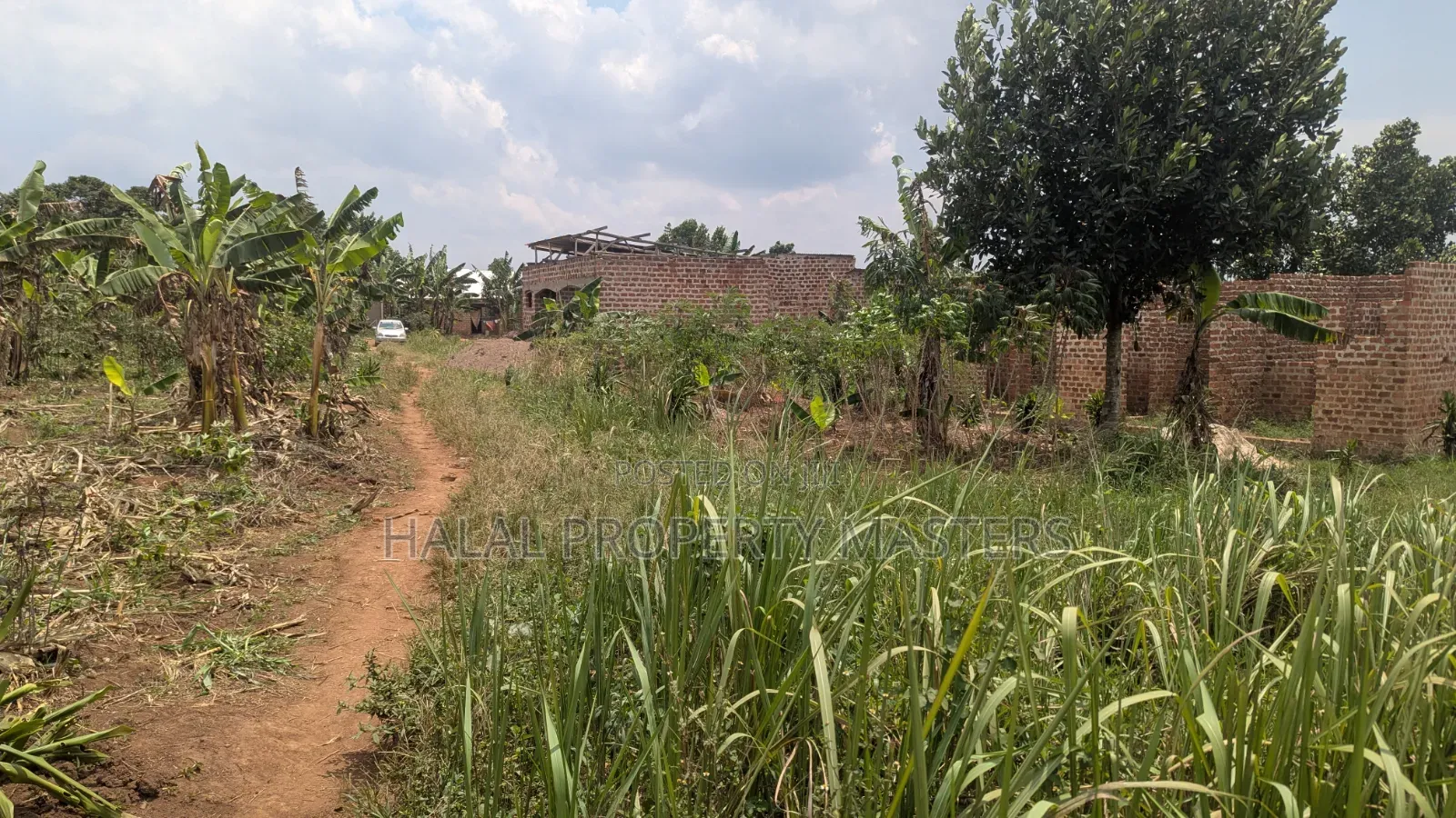 Plot for Sale