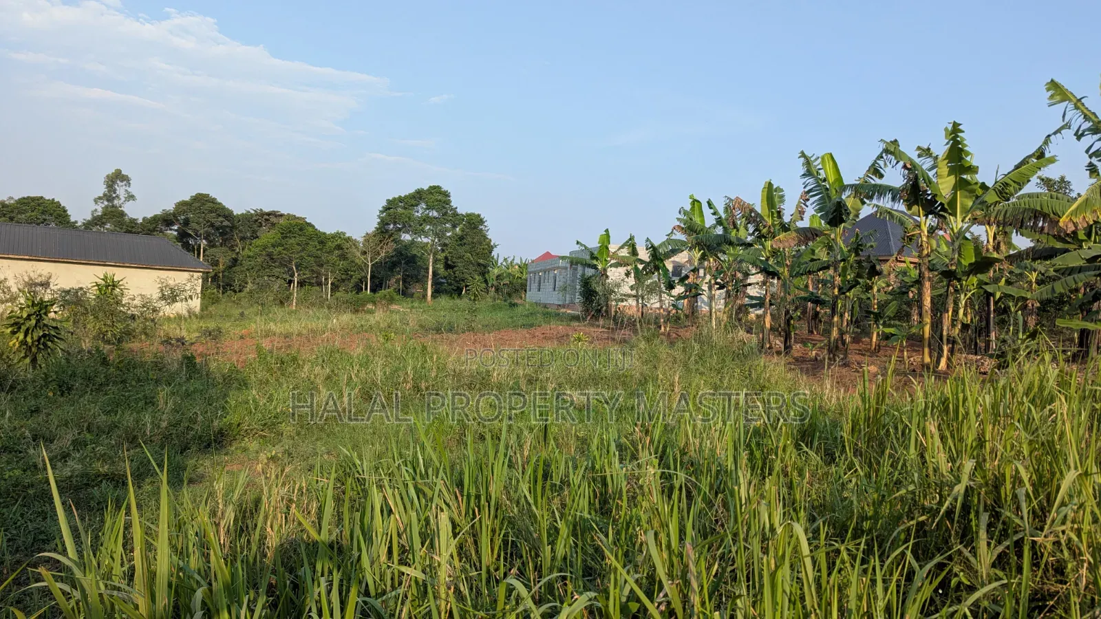 Plot for Sale