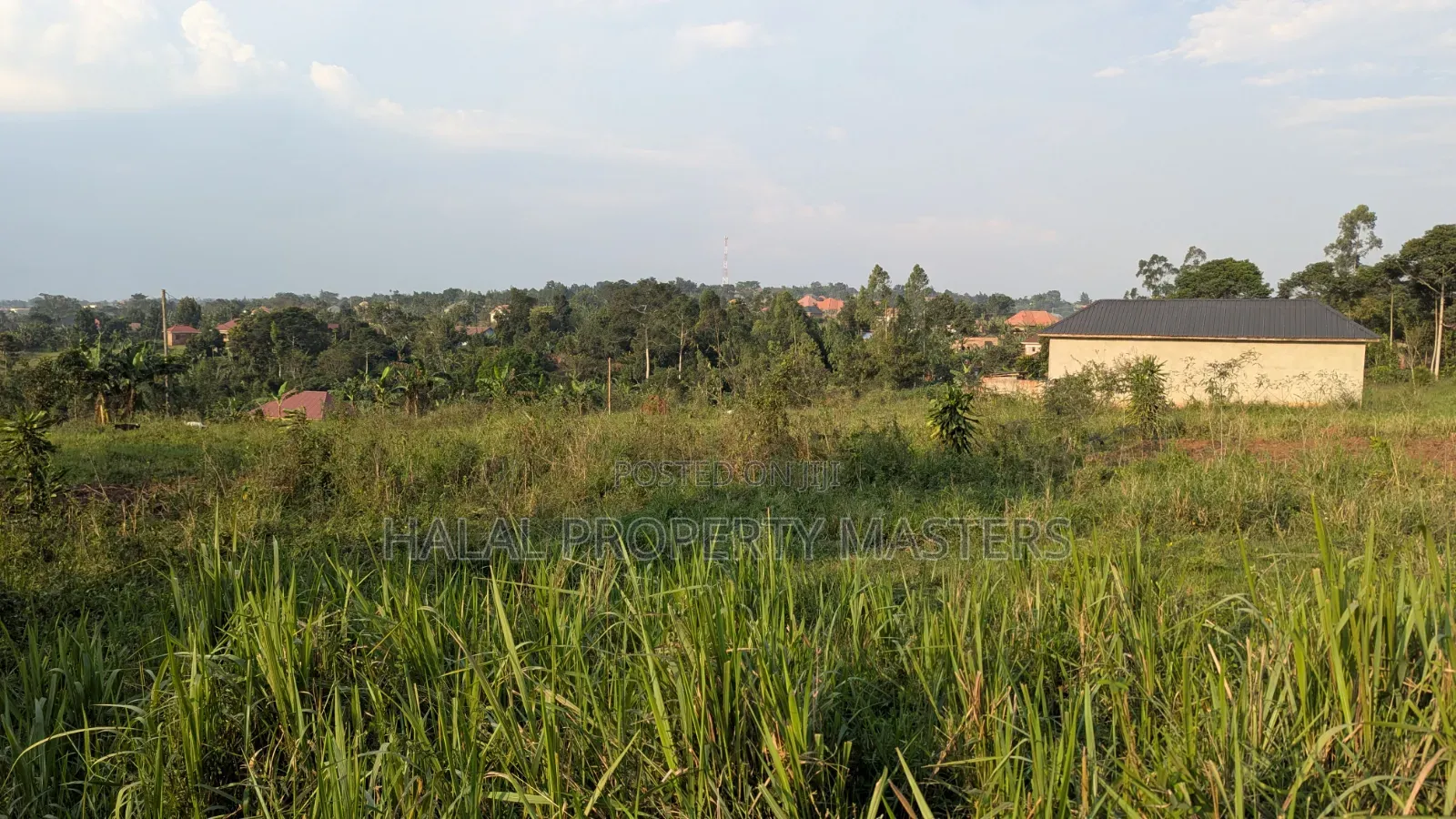 Plot for Sale