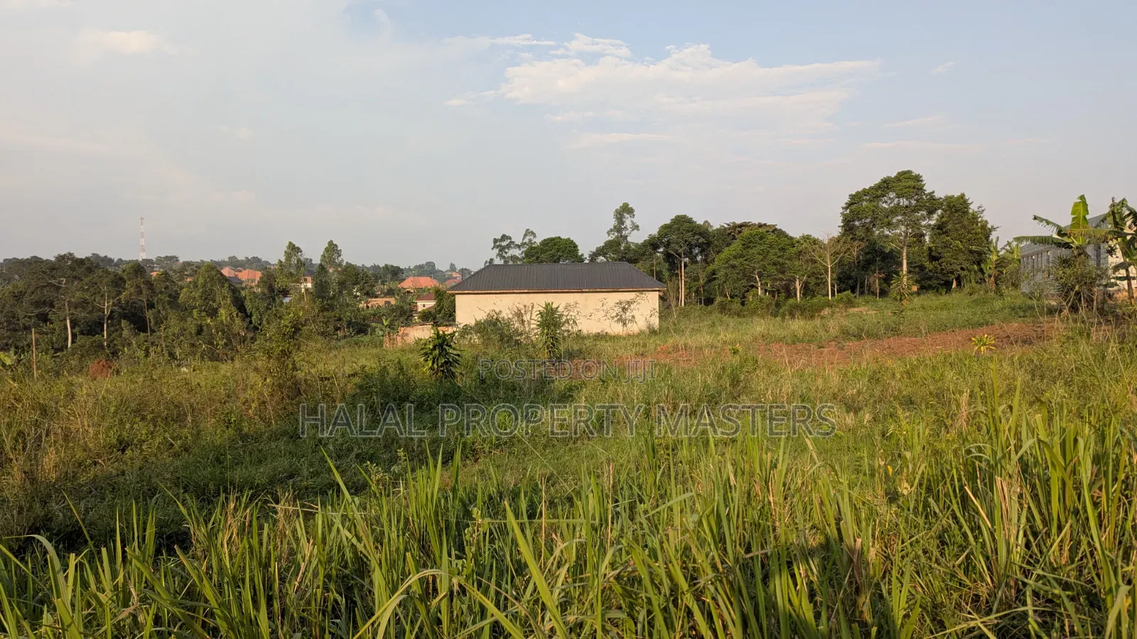 Plot for Sale