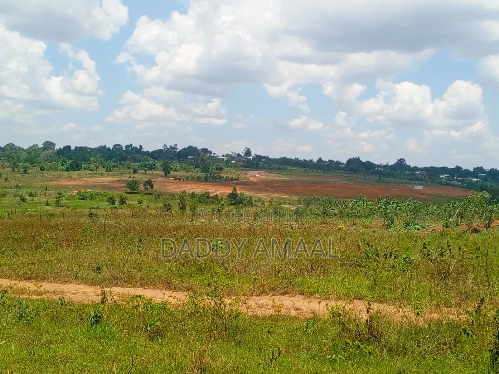Titled Plots in Nampunge