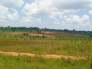 Titled Plots in Nampunge
