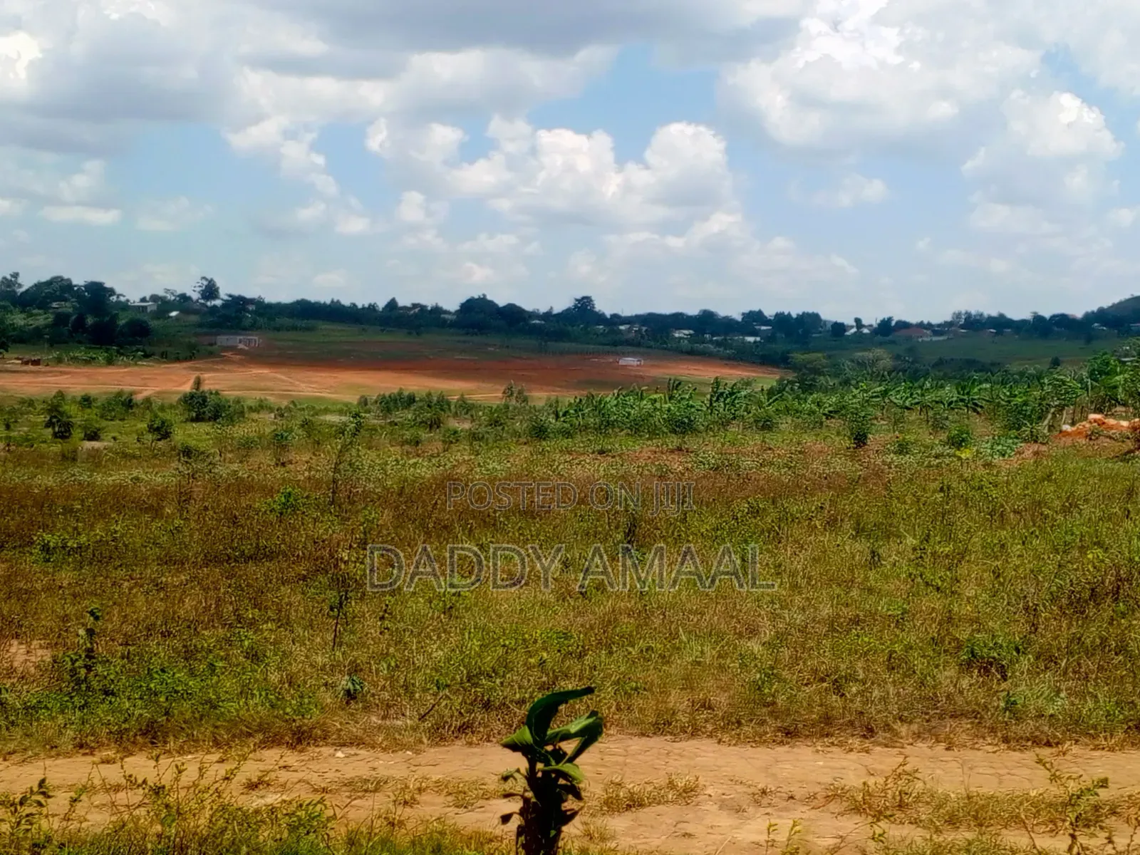Titled Plots in Nampunge